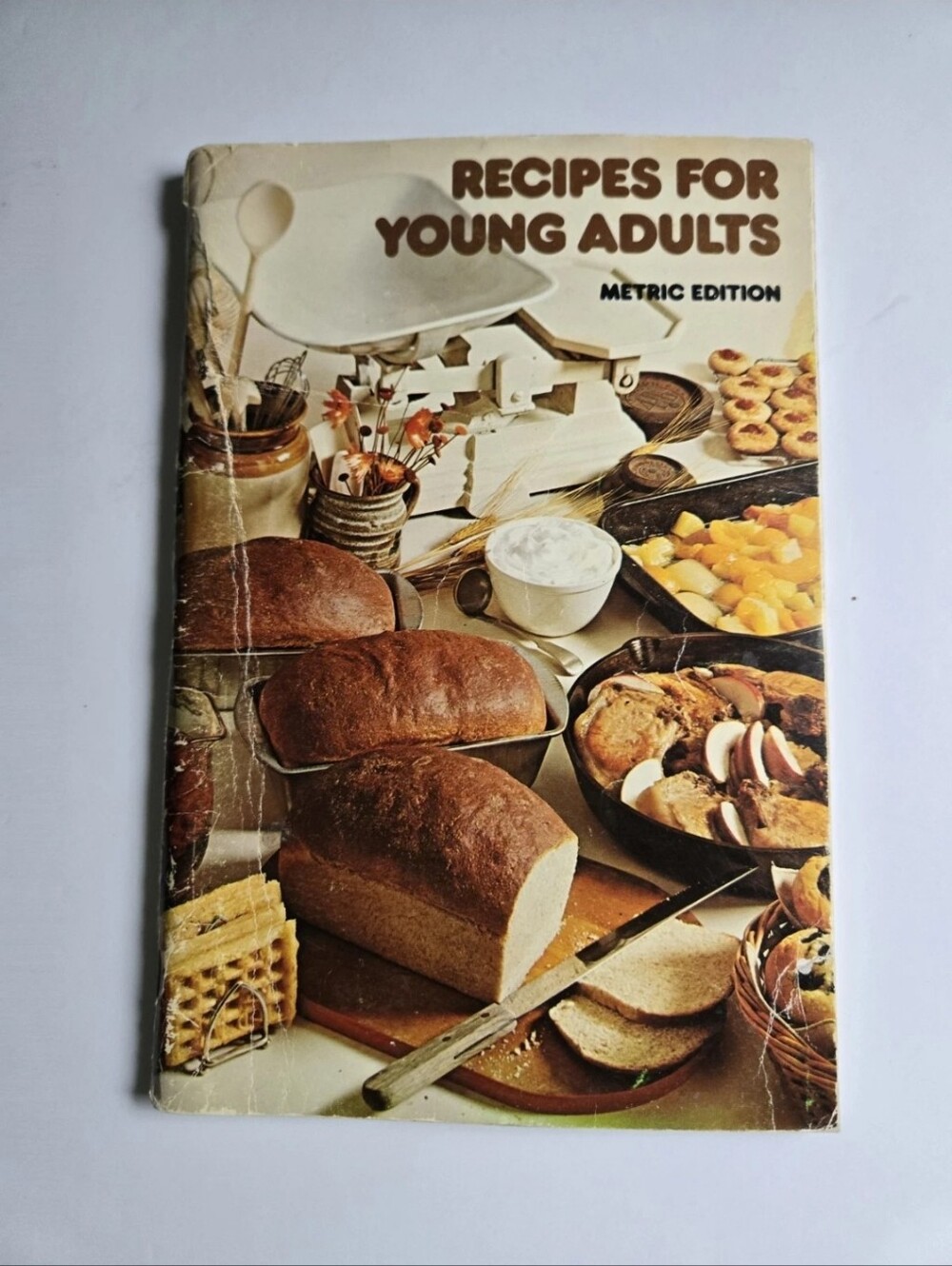 Recipes for Young Adults Cookbook Vintage Manitoba Home Economics Cookbook
